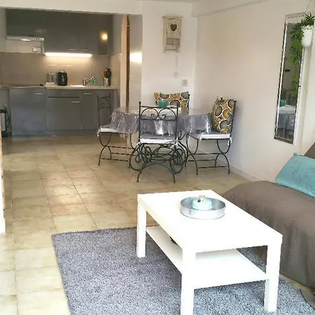 Studio Golfe Juan A 300 M Des Plages